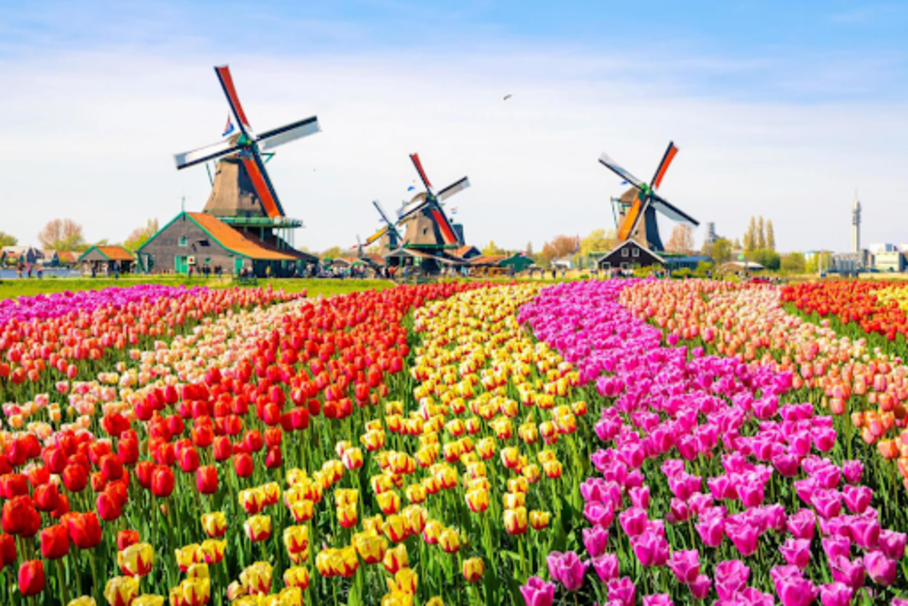 8 Fun Activities to Do In Amsterdam with Friends